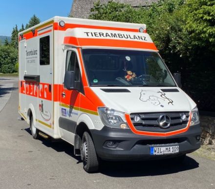 Tierambulanz der Tierheilpraxis Christian Ergenzinger