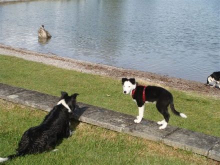 Wellnesshotel Sommer