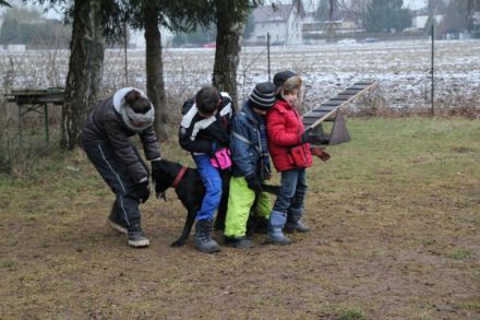 Hundezentrum Hoffmann Irene