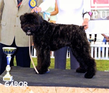 de la Colline Verte Dijon