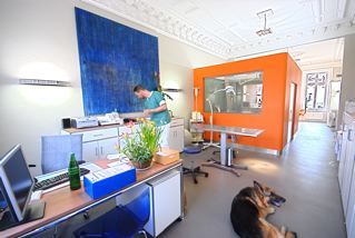 Hamburg: Tiermedizin am Rothenbaum