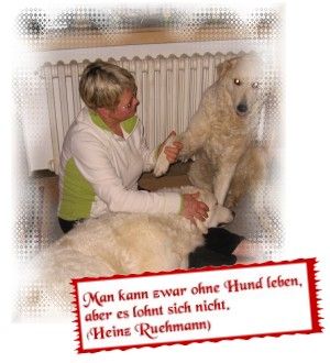 Hundeschule Brigitte Müller