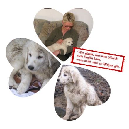 Hundeschule Brigitte Müller