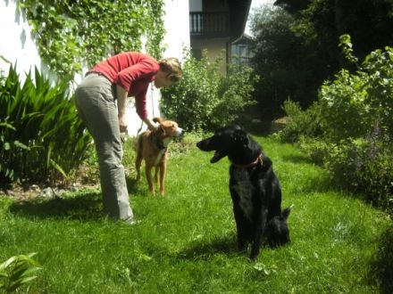 Hunde & Katzenhotel Susi & Strolch