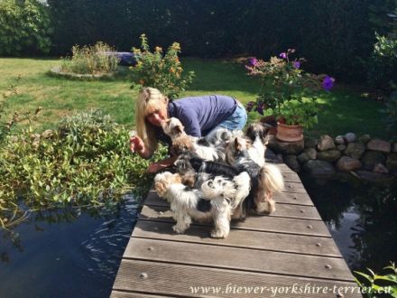 aus dem Herzogtum Lauenburg