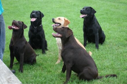 von der Friedersdorfer Höhe