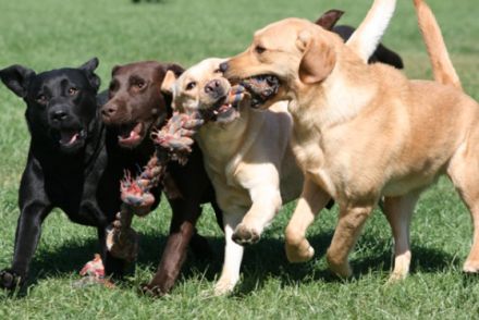 von der Friedersdorfer Höhe