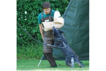 Int.Ch. Agent I-Point Wild Mosquitos