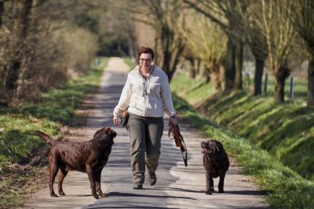 Beziehungskiste Hundeschule