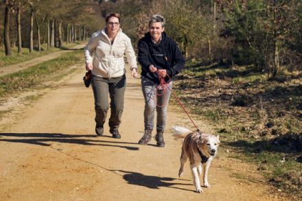 Beziehungskiste Hundeschule