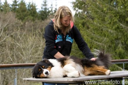 Tier Physio Therapie  -  physio4pets.com - Gerlinde Putzke