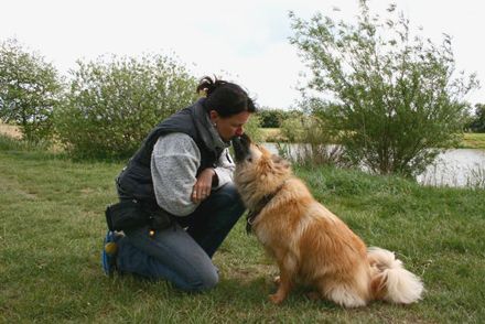 Freundschaft HUND Tierheilpraxis & Hundeschule