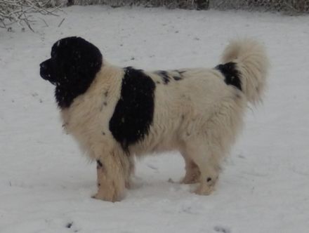 vom Störtebeker Siel