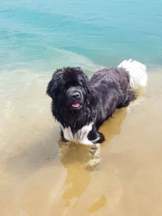 vom Störtebeker Siel