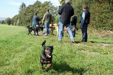 CanisAmare / Naturtraining für Mensch & Hund