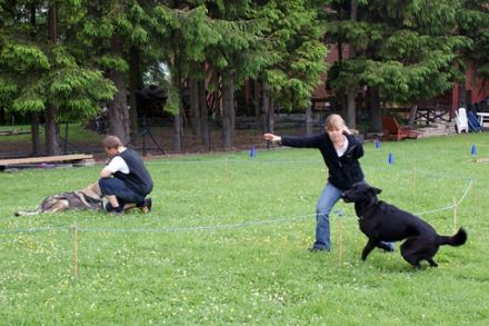 CanisAmare / Naturtraining für Mensch & Hund