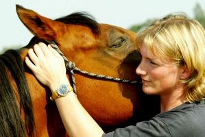 Pferdeosteopathie Kristina Pressler