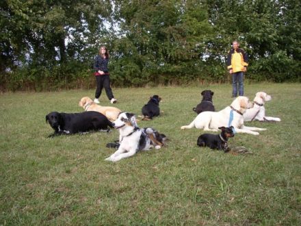 Hundeplatz der Lucky Dogs bei Trimport