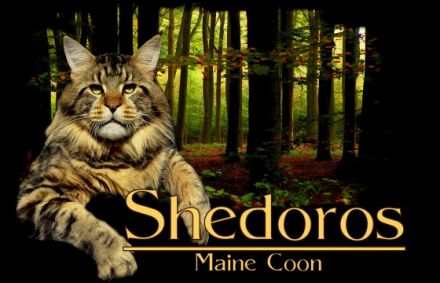 *Shedoros
