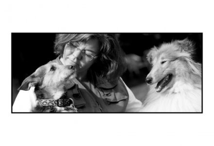 HundeZentrum auf der Helle