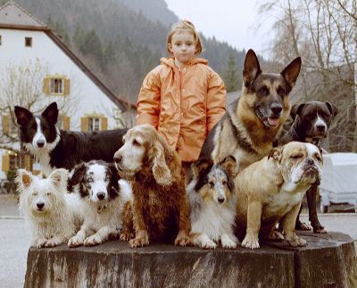Tübinger Hundeschule