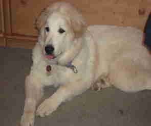 Vom grossen Burggraben