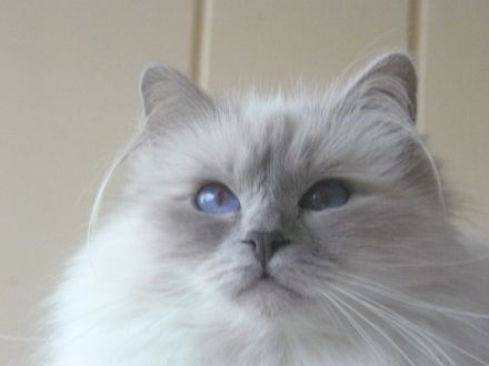 Von der Johannishöhe