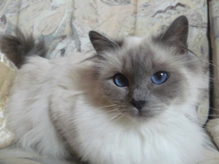 Von der Johannishöhe