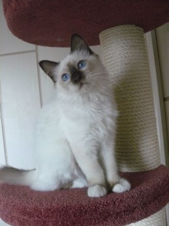 Von der Johannishöhe