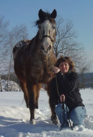 Praxis für Tierhomöopathie & Naturtherapien - Ida Lösch – Tierheilpraktikerin-