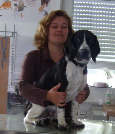 KLEINTIERPRAXIS SCHWEBKE