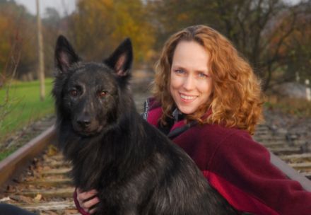 Hundetraining DogMate