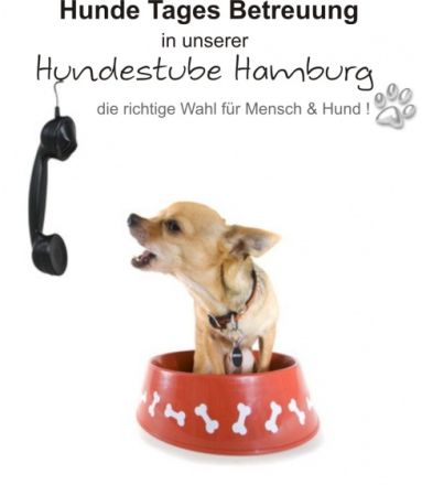 Hundestube Hamburg