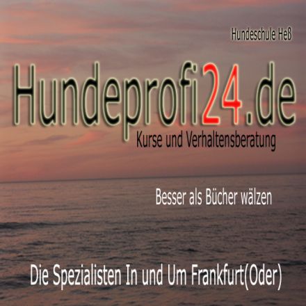 Hundeprofi24.de