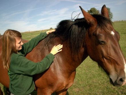 Mobile Tiertherapie