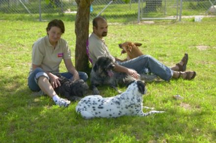 World of Animals 4 Pfoten Resort