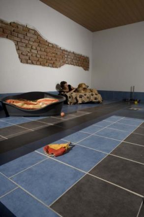 World of Animals 4 Pfoten Resort