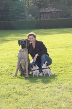 Jennys Mobile Hundeschule