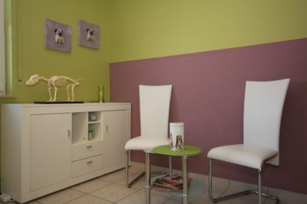 Canis Musculi Hundephysiotherapie Silvia Di Jorio