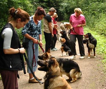 Hundeschule Kersebohm