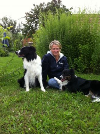 Mobile Hundeschule dogs-gate