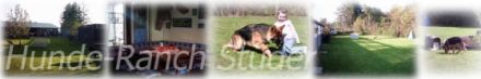 Hunderanch-studer  - Das Ferienparadies für Hunde