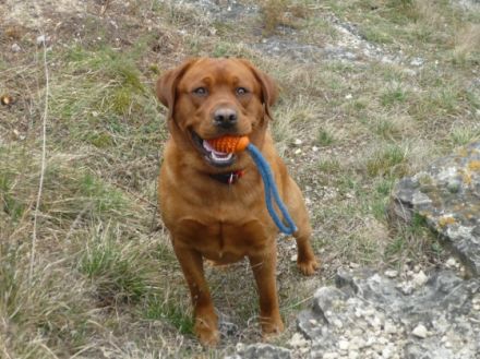 DJ von der Holzmühle