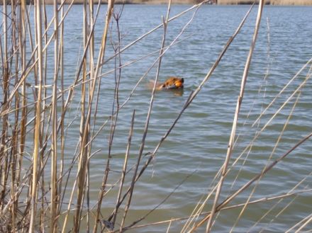 DJ von der Holzmühle