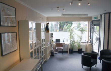 Tierheilpraxis-Engeln