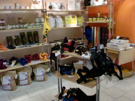 Tierphysiotherapie- und-schulungszentrum