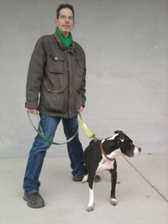 Hundebetreuung - Hundeerziehung