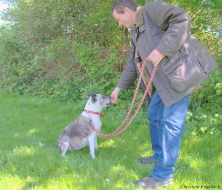 Hundebetreuung - Hundeerziehung