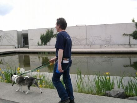 Hundebetreuung - Hundeerziehung