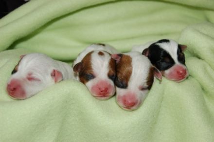 von der Nordseedüne